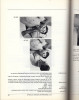 Manuelle Medizin 1984: Erfahrungen Der Internationalen Seminararbeitswoche In Fischingen/Schweiz